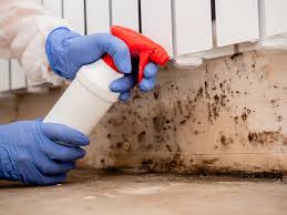 Environmental Consulting for Mold Prevention in Huntington, WV